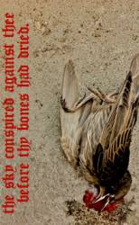 A Pregnant Light : The Sky Conspired Against Thee Before Thy Bones Had Dried